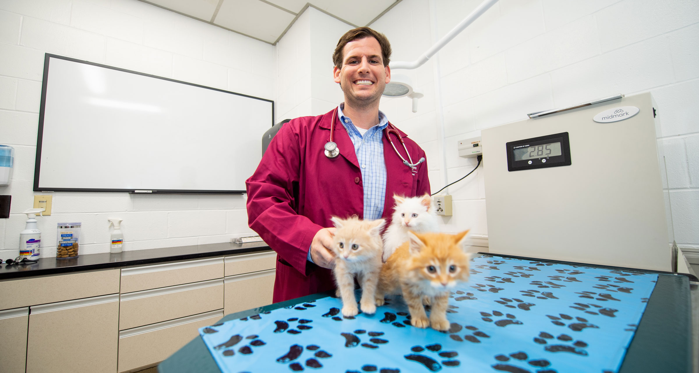 Concentrations in Pre-Professional Programs | Office of Admissions and ...