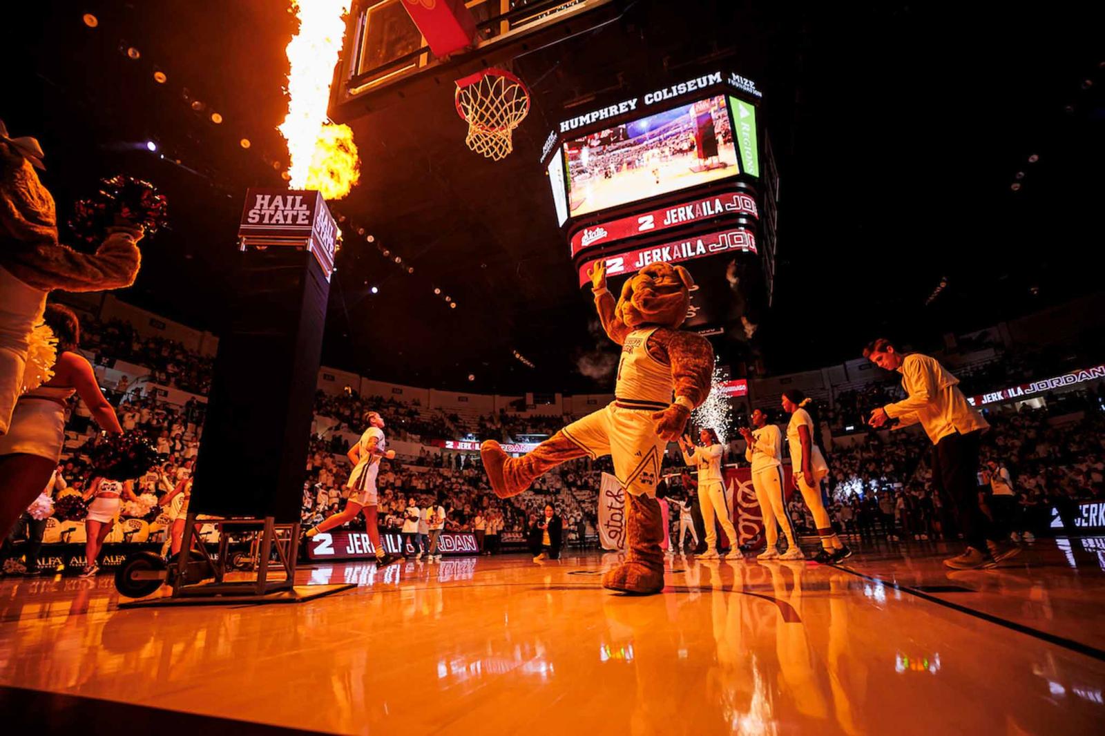 Mississippi State basketball court with bulldog mascot.